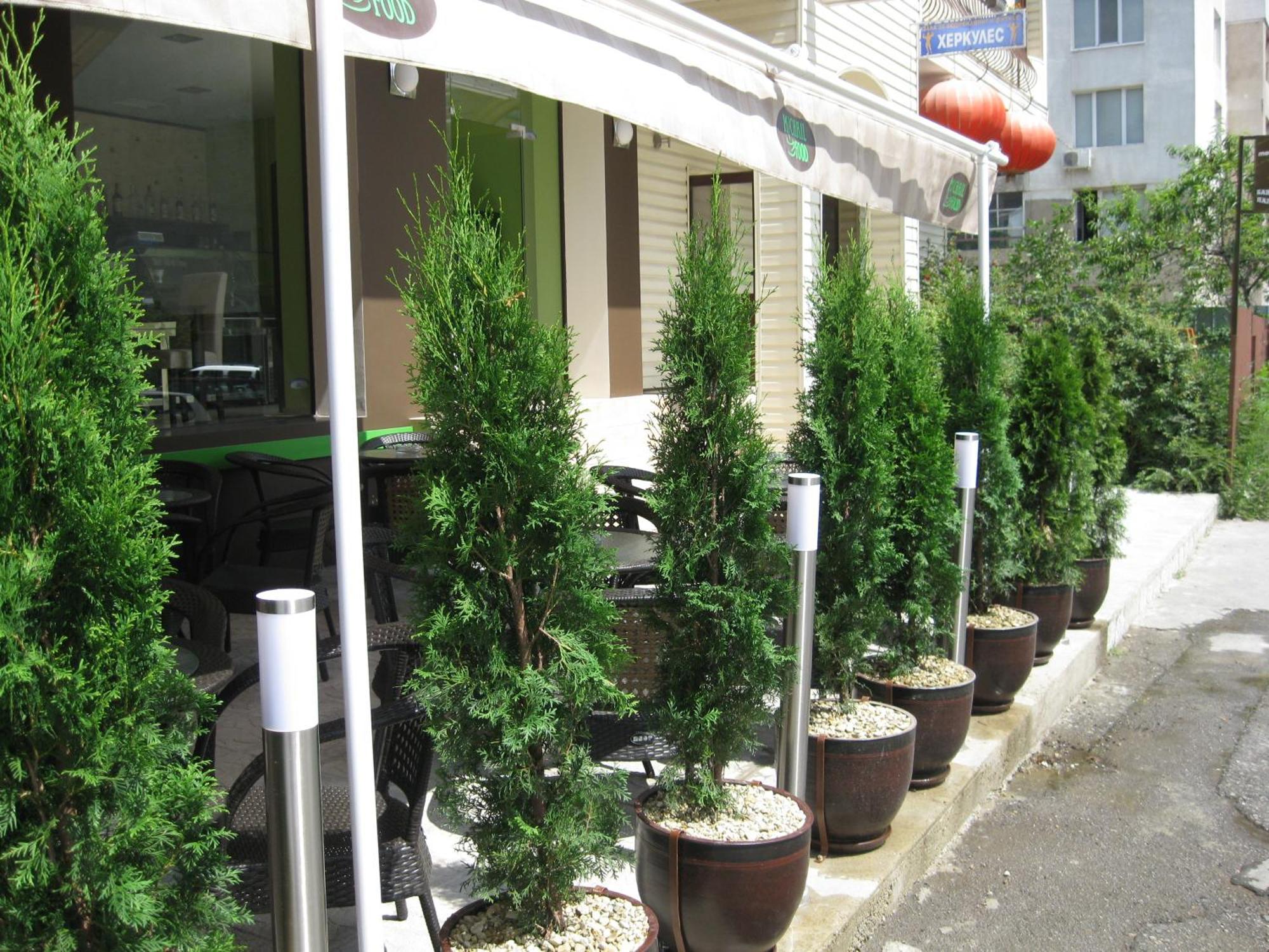 Family Hotel Marsina — Photos 2